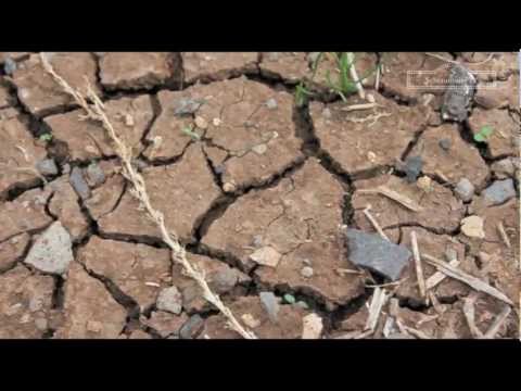 Martina Hirschmeier: ISRAEL/Bewässerung & Versalzung (SchlaumeierTV.de)