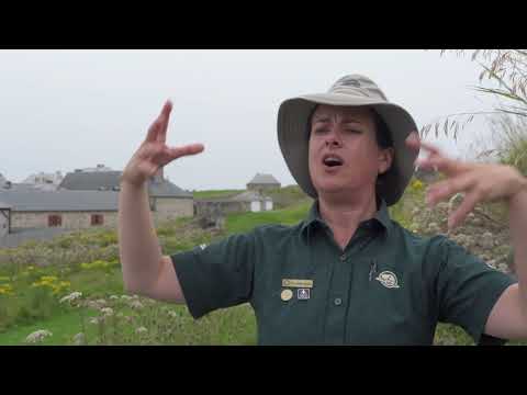 The Fortress of Louisbourg