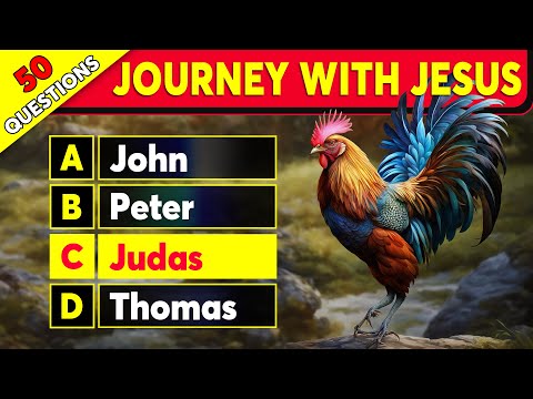 Jesus' Journey - 50 Bible Questions to Test Your Bible Knowledge | The Bible Quiz