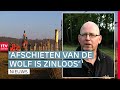 Schapen niet goed beschermd tegen wolf & huizen kijken tijdens Open Huizen Dag | Drenthe Nu