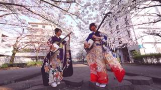 Shamisen Under The Cherry Blossoms 2017 - Ki&Ki 輝&輝 津軽三味線