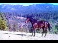 Disney S Hacksaw Part 1 Season 18 Ep 2 Opening And Closing Only