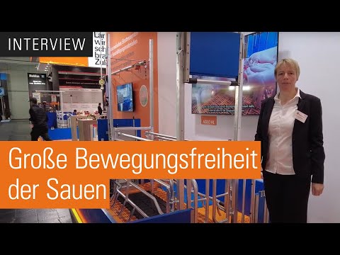 EuroTier 2022 | Agilo - Gruppenhaltung ferkelführender Sauen mit Selbstfangfunktion