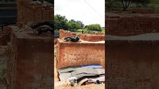 Action Behind The Scenes | Bhaukaal Season 2 | #funnyvideo #funnyshorts #shorts#funny #bhaukaal2#bts