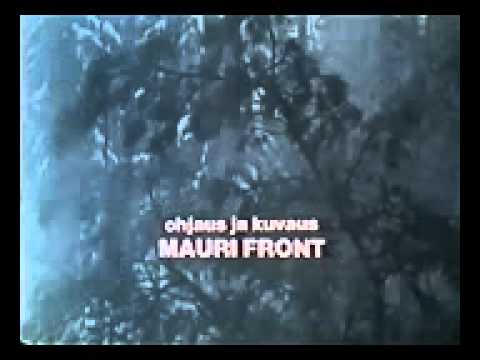 Traditional Finnish Log House Building Process 32