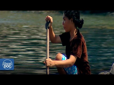 Los Bajau y su curiosa forma de alimentarse: así la llevan a cabo...