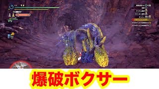 【MHWI】ブラキディオスがわけわからん攻撃を連発w Part.13【モンスターハンターワールドアイスボーン】