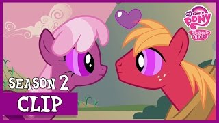 The Love Potion (Hearts and Hooves Day) | MLP: FiM [HD]