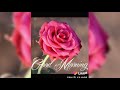 Likee Formerly LIKE Video