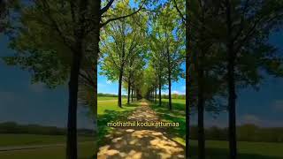 Download lagu muthukkal padhikkaatha mp3