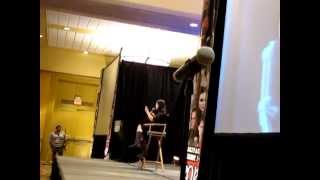 Rachel Miner Panel 1