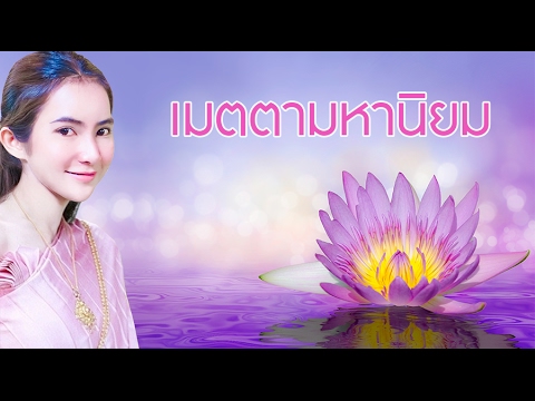 LM คือความแรง ความคิดเห็นรากพรู