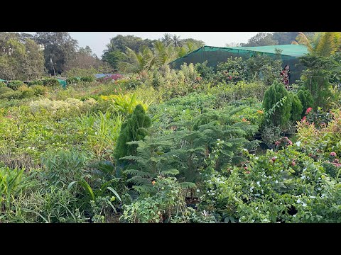 Going to Gorai Beach !