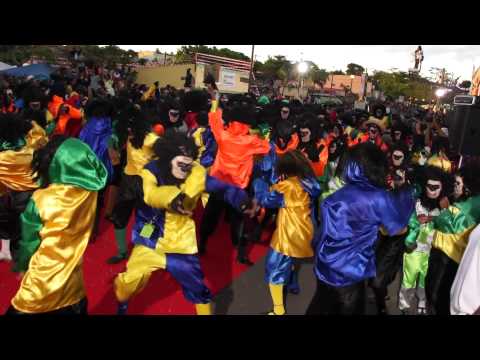 Carnaval 2011 - Guadeloupe - Petit- Bourg