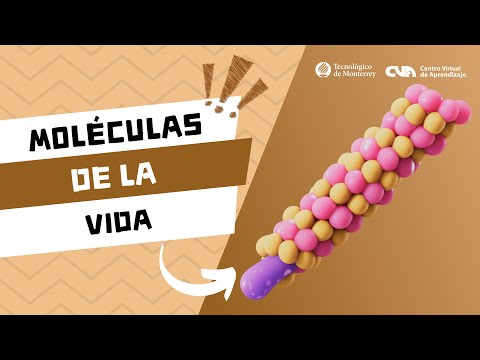 Química orgánica - Introducción