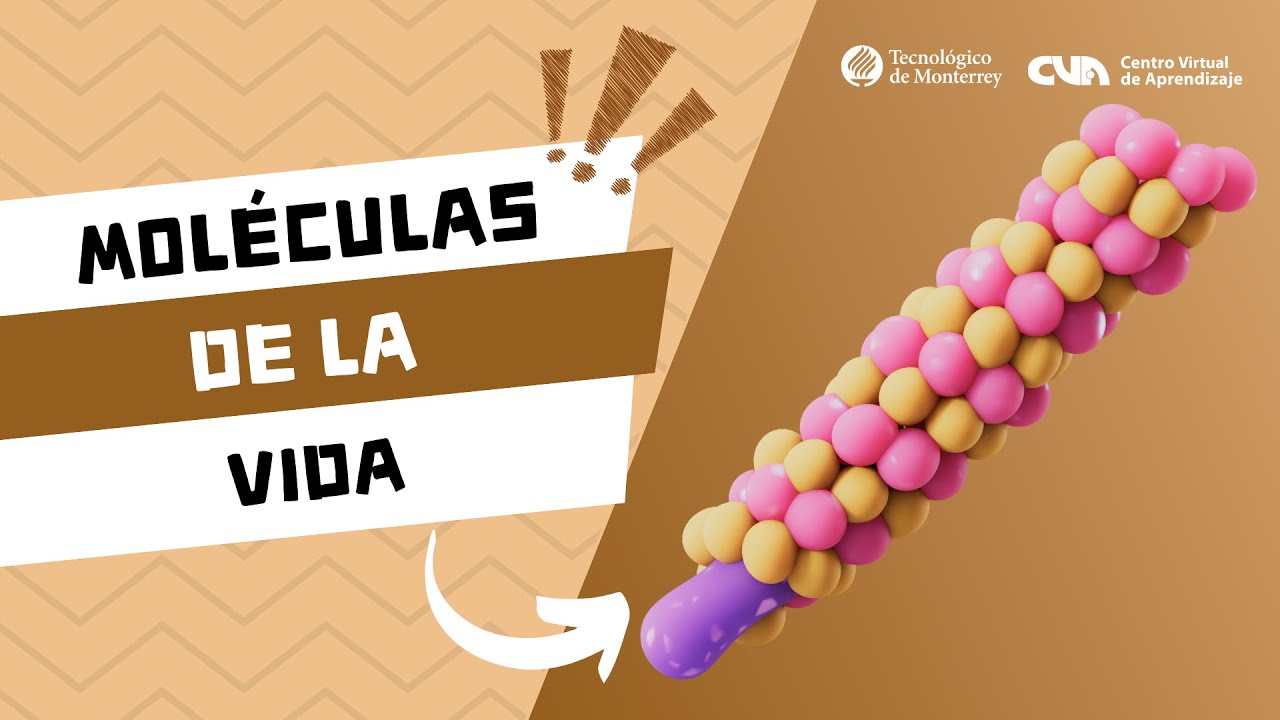 Química orgánica - Introducción