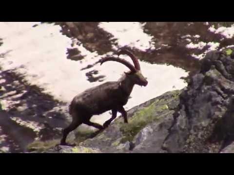 Cristallina (2'912m)