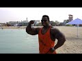 Joe Mackey and Larry Wheels - Last Day In Dubai