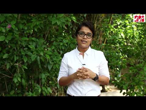 Trauma Care Centre for Stray Animals and Birds