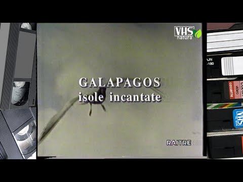 GEO, viaggio nel pianeta Terra - GALAPAGOS, ISOLE INCANTATE