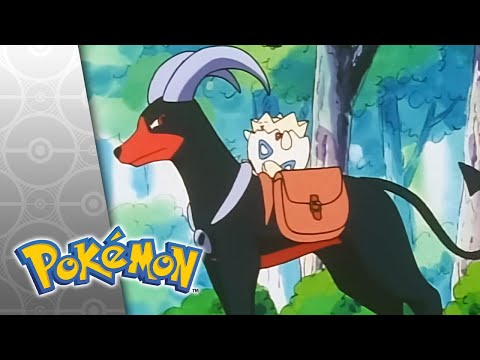 Houndoom's Special Delivery | POKÉMON FULL EPISODE 23 | Season 4
