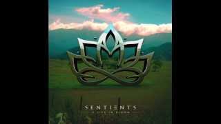 Sentients - Radiance