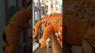 Big crochet Iguana by Totaksusha LINK for the patt