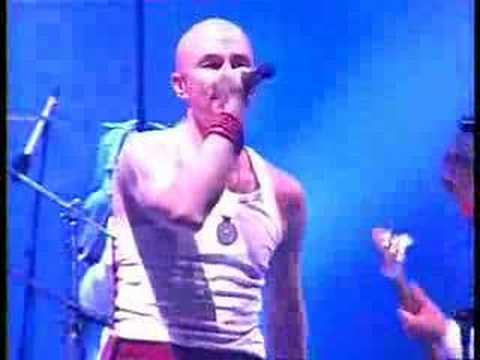 Haydamaky portugalia 3