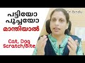 Cat Or Dog Bite Or Scratch Rabies Peppatti Venom Injection Dr Bindu