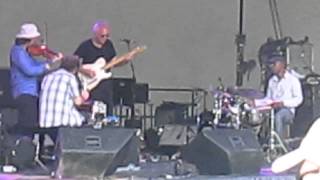 Bill Frisell's finale at the Maymont Jazz Festival