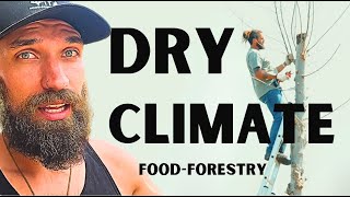 Syntropic Food Forests Work in Dry Climates (Portugal Is Proof)