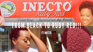 DYEING MY HAIR RUBY RED FT INECTO (RUBY RED)  |SOUTHAFRICANYOUTUBER