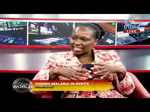 Eradicating Malaria in Kenya | Your World