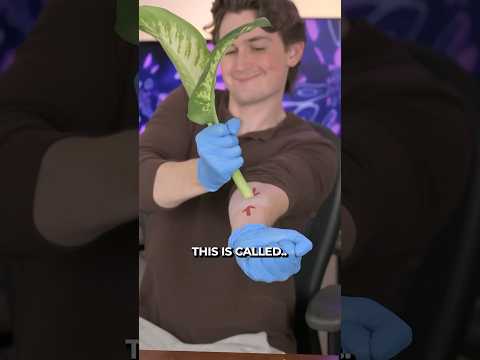 I Tried “Dumb Cane” Like Coyote Peterson 🥵 #shorts