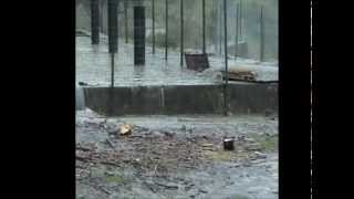 preview picture of video 'Scempio del depuratore nel rione borgo a Lungro (CS)'