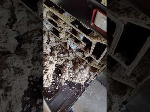 фото передвижная чистка подушек и одеял 0