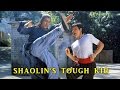 Wu Tang Collection - Shaolin's Tough Kid