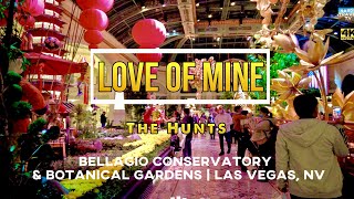 Love of Mine - The Hunts (Song with Lyrics) 🎶 | #145