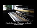 Flugzeuge im Bauch INSTRUMENTAL Herbert Grönemeyer (Piano Version) Xavier Naidoo