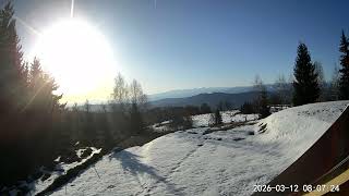 2026 02 12 pisica neagra