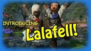 라라펠을 소개합니다!