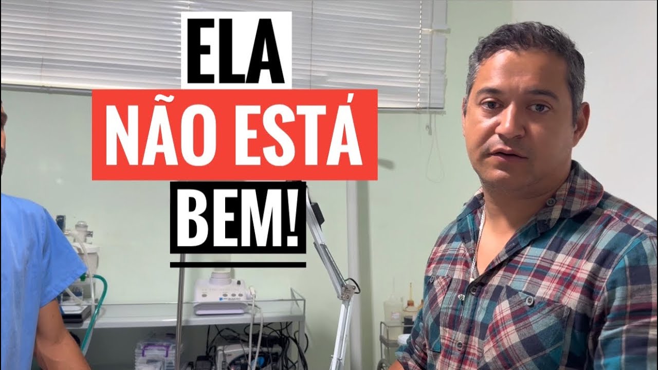 I HAD TO TAKE HER TO THE VET. BACK TO THE FARM'S ROUTINE.