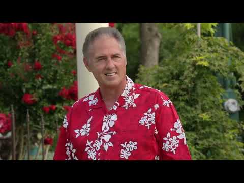 Thumbnail for What a Day video