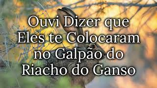 Elton John - Jack Rabbit Tradução