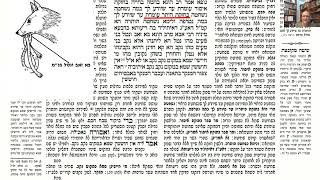 דף יומי מסכת חולין דף ט Daf yomi Masechet Chulin page 9  ע"י יוני גוטמן (שיעורי הדף היומי ב-20 דקות – מועבר ע"י ר' יוני גוטמן – לעילוי נשמת אביו ר' אלימלך צבי (צביקה) גוטמן ז"ל) - התמונה מוצגת ישירות מתוך אתר האינטרנט יוטיוב. זכויות היוצרים בתמונה שייכות ליוצרה. קישור קרדיט למקור התוכן נמצא בתוך דף הסרטון