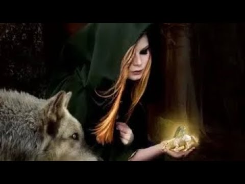 I nuovi arrivati 🖤🖤🖤🖤🖤🖤