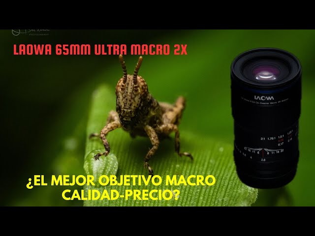 Vídeo relacionado con Venus Laowa 65mm f/2.8 APS-C Ultra macro lente de enfoque manual para cámara de montaje Fuji X