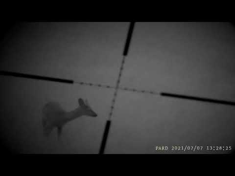 2021 0707 132747 002