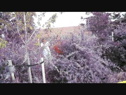 Kumi's Birthday Party