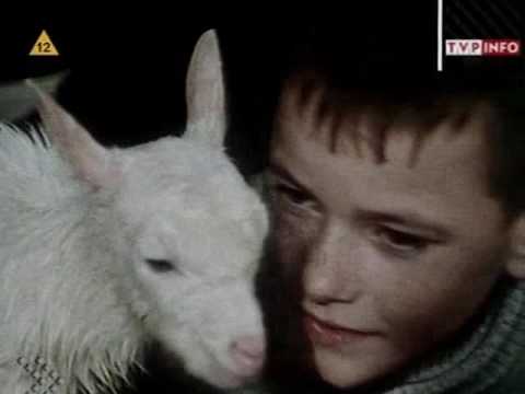 Trzynastka Ewa Borzęcka 1996